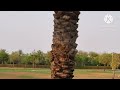 Quranic Park in Dubai || One Of The Best Park To Visit || Walking Tour 2024