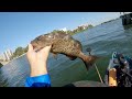 2 Hours Raw Uncut Saltwater Fishing With Shrimp And Cut Bait (Florida Kayak Fishing)