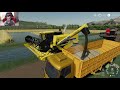 INICIANDO A COLHEITA DE ARROZ | Farming Simulator 19 | Arrozeira do Sul Map