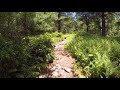 Appalachian Trail: Northbound from Little Gap, Palmerton, PA