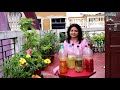 Bio Enzyme - How to make / সাত রকমের  ঘরোয়া ও জৈব বায়ো এনজাইম । Seven Wonder liquids for plants.