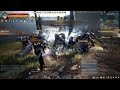 Black Desert Online : Star's End