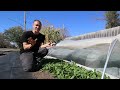 How to Build Low Tunnels That Open and Close Easily