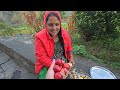 अभि बेटे की मस्ती और फलों से लदे पेड़ || Pahadi Lifestyle Vlog || Priyanka Yogi Tiwari ||