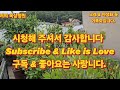 1493회. 저의 옥상정원에 아름다운 꽃이 피고 지고 합니다 범부채 꽃도 예쁘게 피였어요.