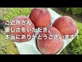 【実家の開拓＆DIY】遂にご近所さんから言われたこと。