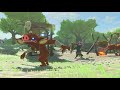 Breath of the Wild RANDOMIZER SERIES (Part 1)