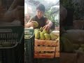 empacando mango