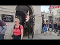 DONT DO THAT! King’s Guard Has Had Enough Of Ignorant Tourist Who Leaned On His Boot!