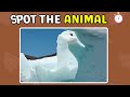 Guess the Hidden Animals by closing your eyes 70% 🦌🌀🐵 |OPTICAL ILLUSION  THAT WILL TRICK YOUR EYES |