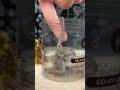 Pet Octopus food puzzle goes very wrong
