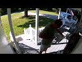 Crazy mailman 1