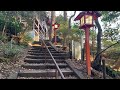 Secret Valley in Tokyo Todoroki Valley/等々力渓谷 #shorts