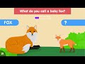 Guess Baby Animal Names | 30 Animals and their Babies