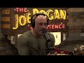 Joe Rogan Experience #1895 - Matt Walsh