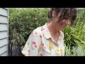 A low maintenance garden design using Australian native plants | Behind the Garden Gate