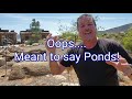 NEW POND SYNDROME - Algae Bloom Solutions | Say NO! to green pond water!!