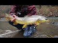 I FOUND A GIANT TROUT!! (Streamer Fly Fishing For Brown Trout)