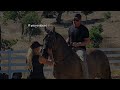 Patron: bitless bareback riding (Episode 4) When Horses Choose in the USA