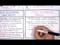 COPD - Overview and Pathophysiology (PART I)