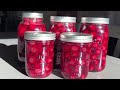 Easiest Way Of Canning Cherries - My Grandma Taught Me This