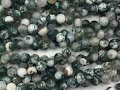 Tree Agate Gemstone Beads - Jewelry Making with Dream Of Stones