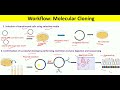 Molecular Cloning for Beginners: Definition, Workflow and Application