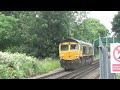 Class 69 and class 66 at Syon Lane