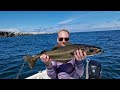 Catching Cod and MONSTER Pollack with Light Lure Tackle | Sea Fishing UK