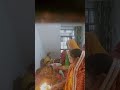 #viral Navratri special,Mata Rani ki #Dil chhu jaane wali Arti. Bhajan with Geeta Pandey.