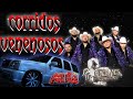 Puros Corridos Venenosos 💥💥💥 Alacranes Musical 💥💥