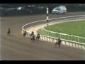 Risen Star - 1988 Belmont Stakes (Dave Johnson's ABC-TV Call)