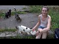 Hungry Stray Cats + Food Lady = Feral Feline Feast - Feeding Stray Cats