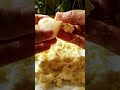 Litchi / Lychee Sandesh Homemade Sandesh #shorts #ytshorts #youtubeshorts #litchi