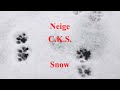 ❄️🐾 Neige - Snow - C.K.S. - Poésie française - French Poetry 🐈