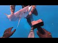 Sneak peak: Spearfishing Legends - highlights of a spearfishing trip with some of Palau's greatest