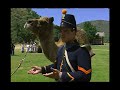 California's Gold   S06E9   Camels and Bison