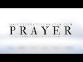 Prayer For Pets | Prayers For Animals (Dogs, Cats, Horses, Etc)
