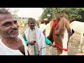 Sonpur mela 2023| Horse market |सोनपुर मेला में घोड़े का सबसे बड़ा व्यापारी | साज़ गया पुरा बाज़ार