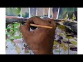 HOW TO PAINT A  LOTUS POND WITH WATERCOLOR /Watercolor Demonstration By madhavsanker