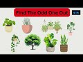 Find the odd one out  Cab you spot all? Brain Teaser | Mind Game | IQ Test