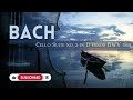 Peaceful Bach: Cello Suite No. 2  | 1 Hour Relaxing Music with Lake Water Ambience