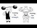 Strength Vs Size (What's Better?)