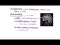 Multiple sclerosis - causes, symptoms, diagnosis, treatment, pathology