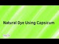 How To Make Natural Dye With Capsicum | Organic Color | Green Color