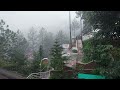 Rainy day in hill cottage - Mukteshwar, Uttrakhand #forest #rain #meditation #relaxing #rainyday