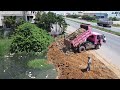 Just Filling A New Project In Flooded Pond!! Bulldozer D21A Pushing Soil into water With Dump Truck.