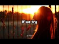 Don McLean - If We Try (Lyrics)