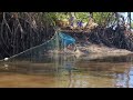 Pescando con trasmallo en Bocana San Juan. última parte