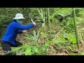 I took care of the forest, he was kind enough to help😂😂😄 |Phàn Nhung
